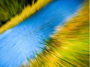 BRASIL MOTION I