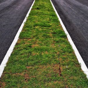 GREENGRASS