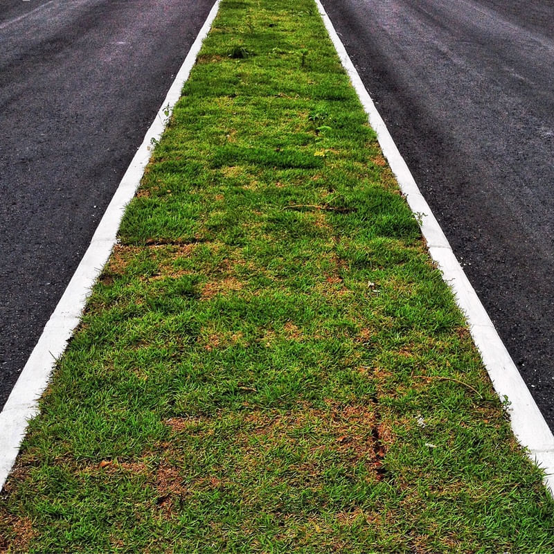 GREENGRASS
