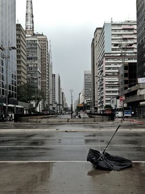 DEPOIS DA CHUVA II