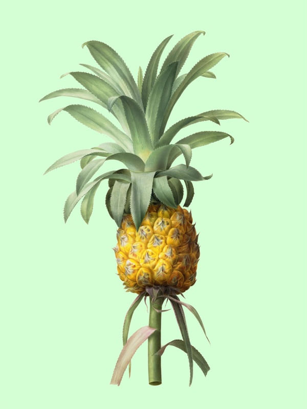 ABACAXI E VERDE I