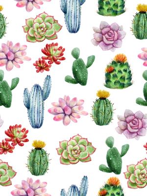CONJUNTO DE CACTOS
