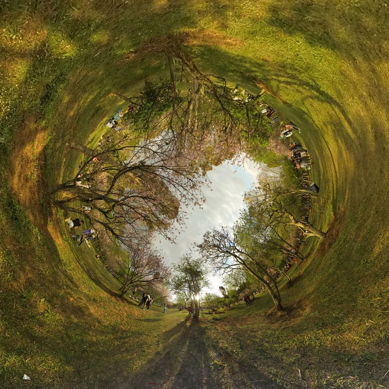MUNDO PARQUE