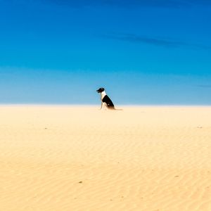 ENTRE O CÉU E A AREIA