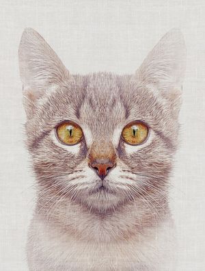 CAT #3