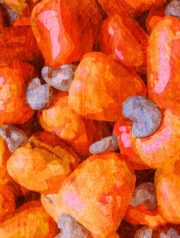 FRUTAS - CAJU