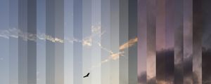 SUNRISE IN 24 MOMENTS