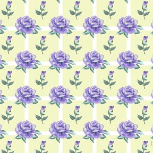 ROSAS 2