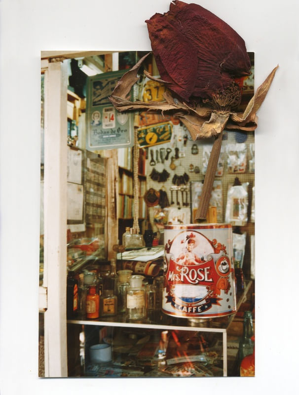 ROSA ANTIQUE