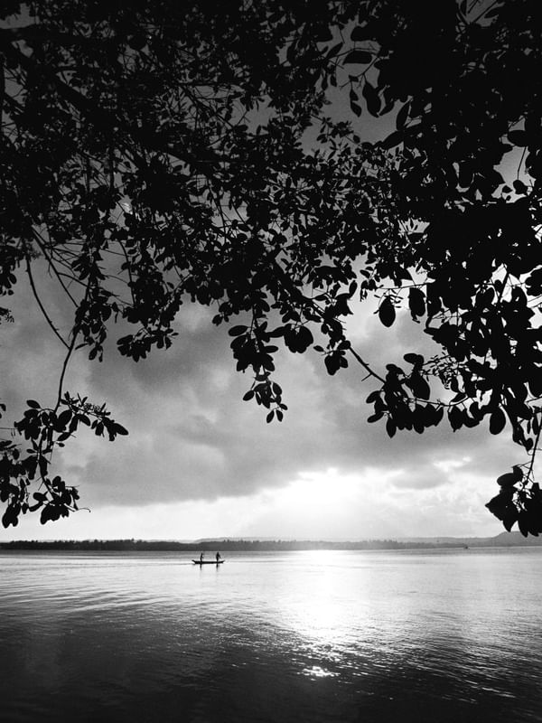 LAGOA 55