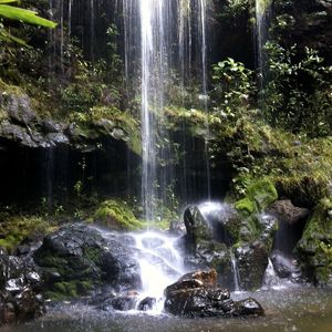 CACHOEIRA