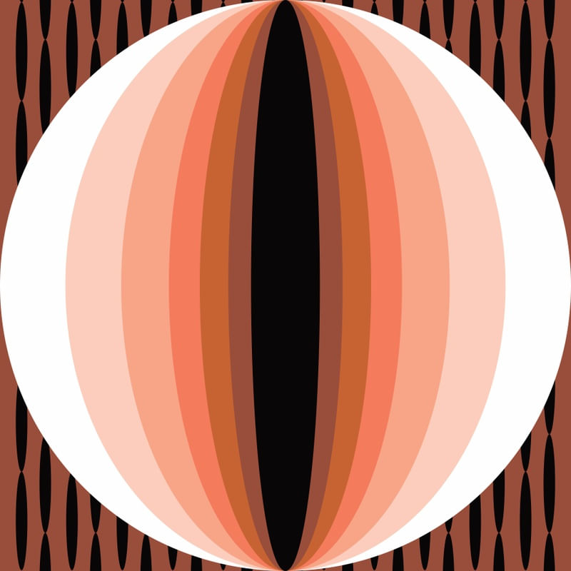 SLIT 21