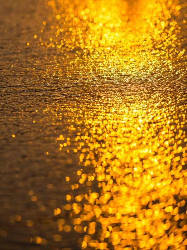 VERÃO REFLETIDO