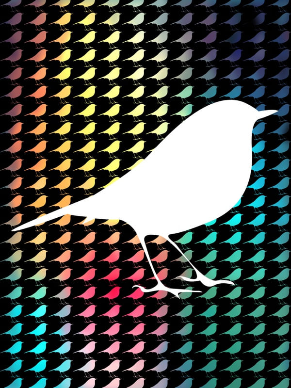 TWEET