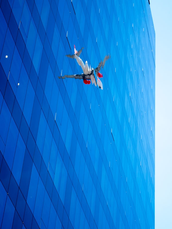 REFLECTION FLYING AWAY
