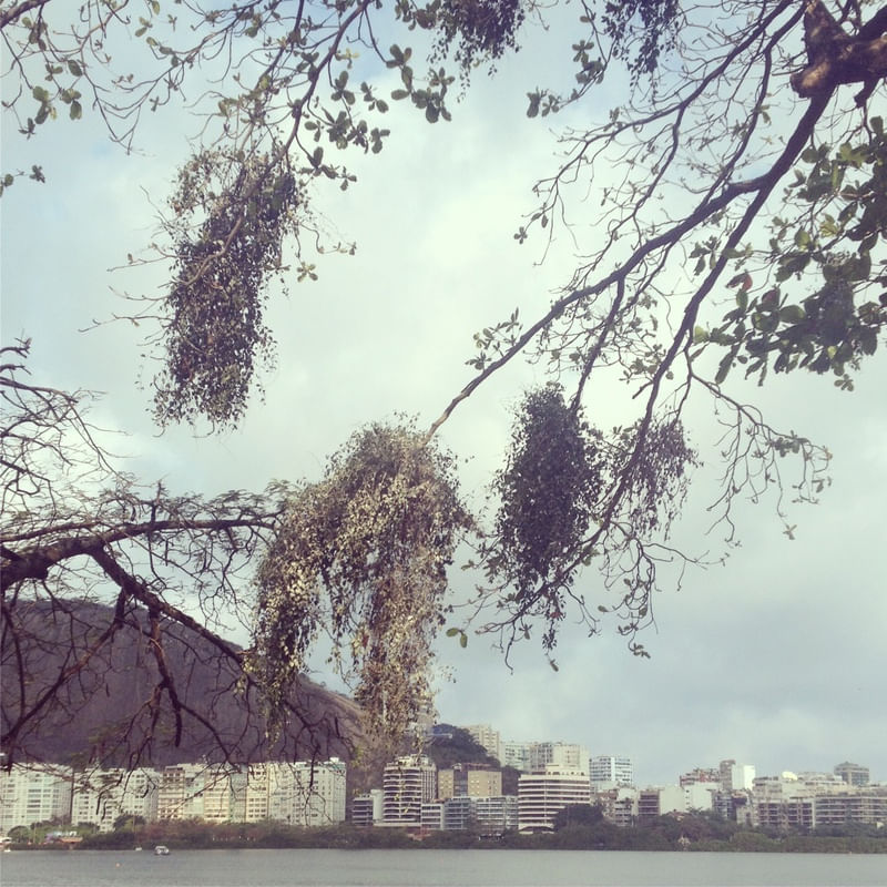 LAGOA 1