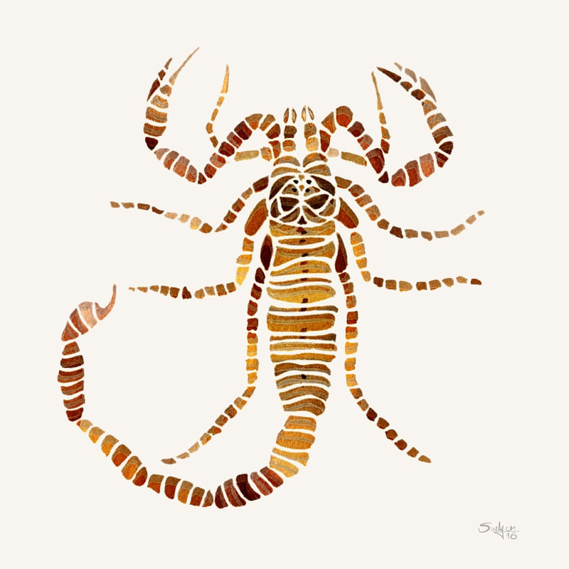 ESCORPIAOSUE