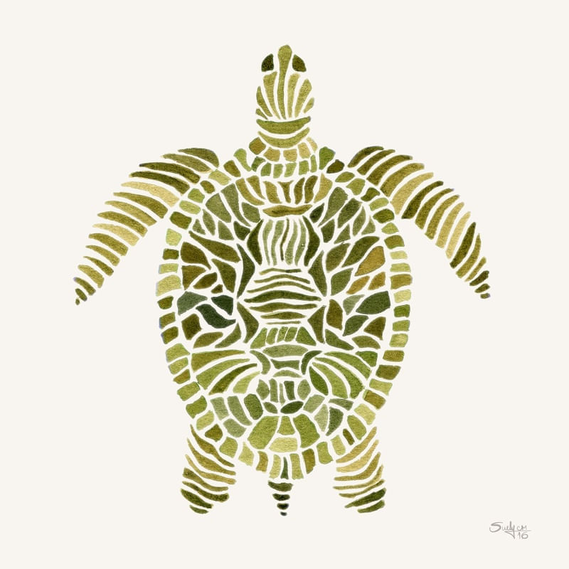 TARTARUGASUE