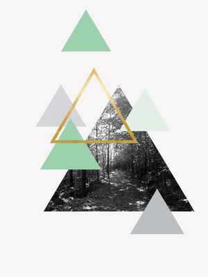 TRIPLE FOREST