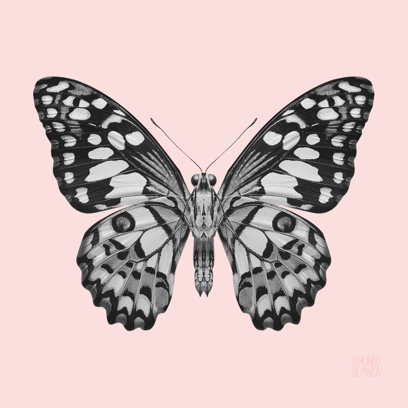 BORBOLETA É PETALA QUE VOA
