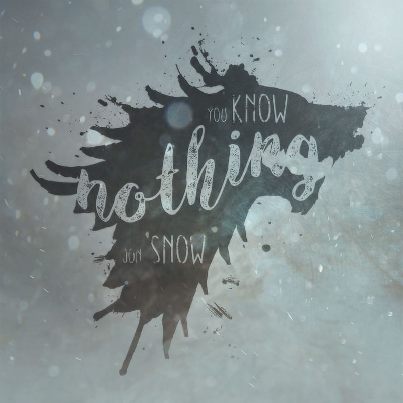 YOU KNOW NOTHING JON SNOW