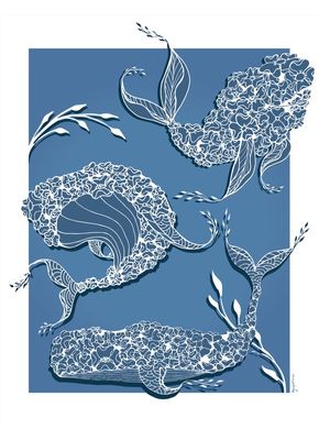 OCEANO GAFORINA