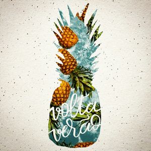 VOLTA VERÃO