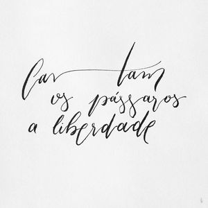 CANTAM OS PÁSSAROS A LIBERDADE