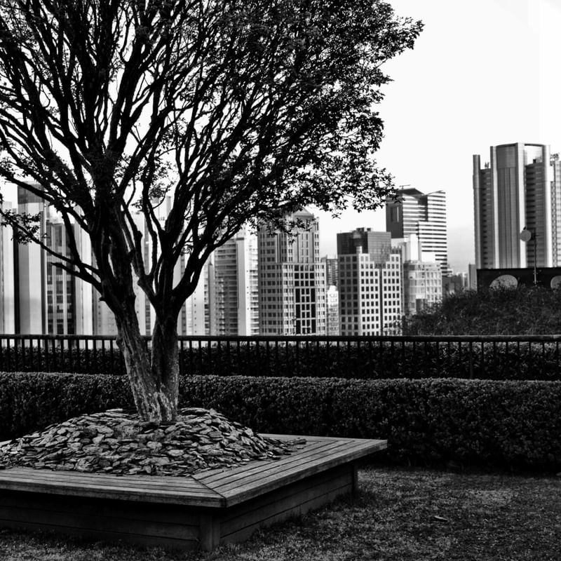 CIDADE JARDIM