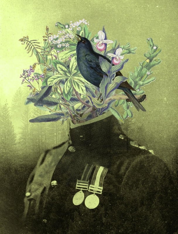CAPITÃO FLORA