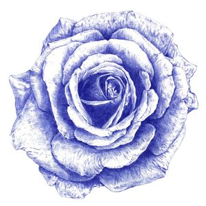 BALLPOINT BLUE ROSE