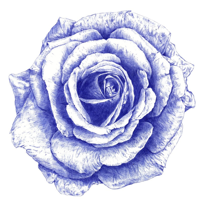 BALLPOINT BLUE ROSE