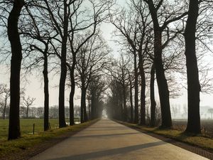ESTRADA PARA BRUGES