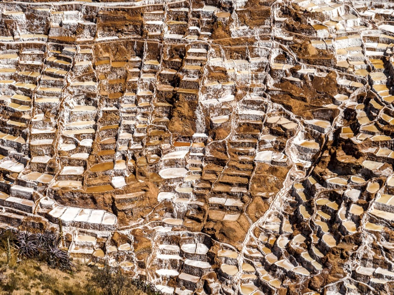 DEPÓSITOS DE SAL NOS ANDES