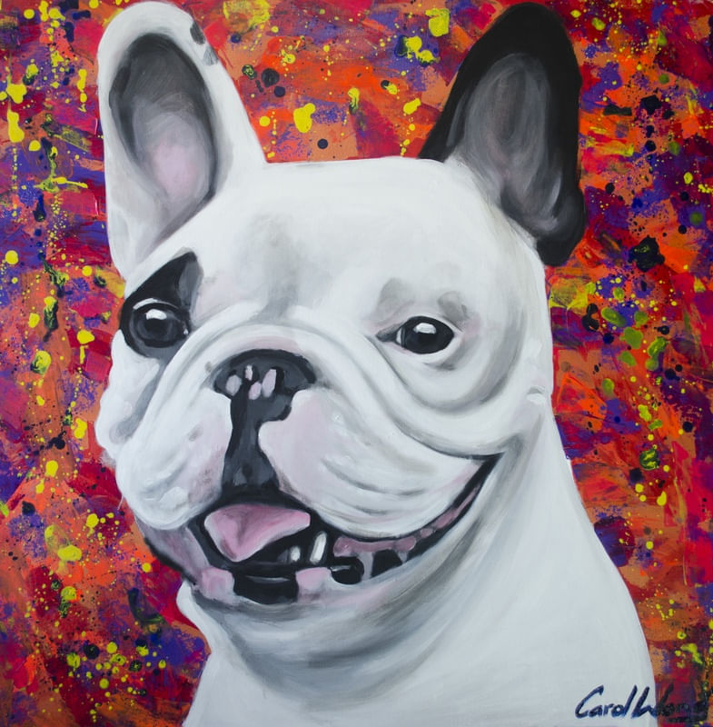 BULLDOG FRANCES VERMELHO