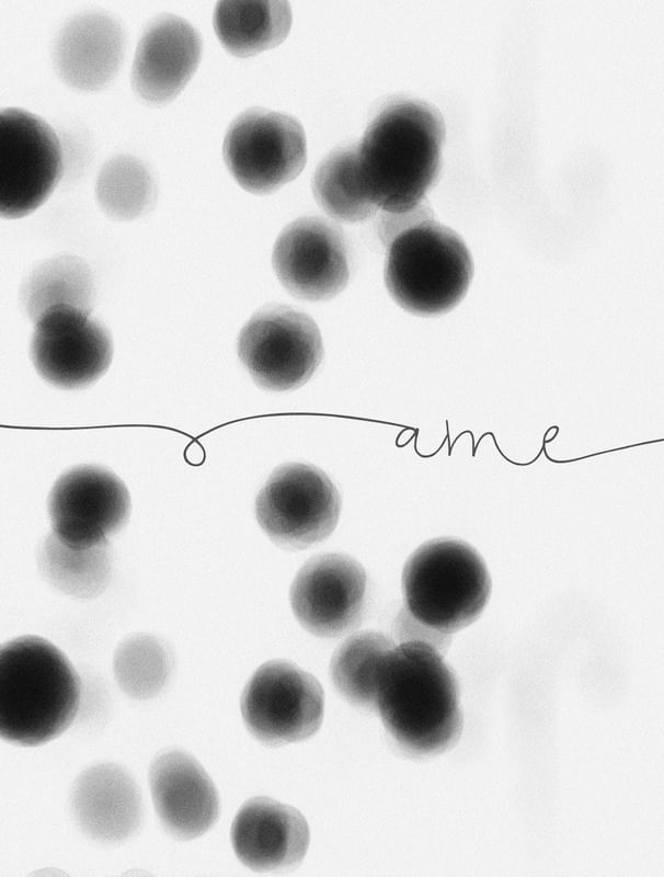 AME BLACK AND WHITE