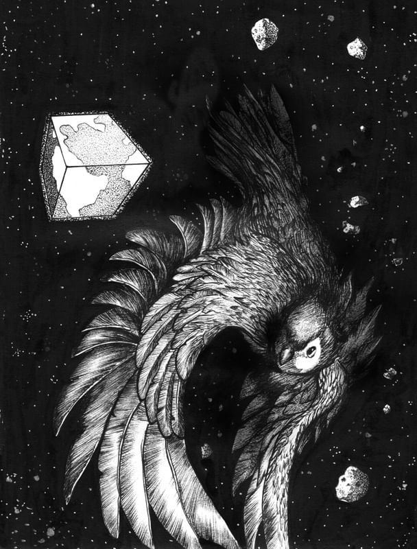 LOST BIRD