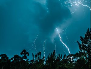 FORÇA DA NATUREZA