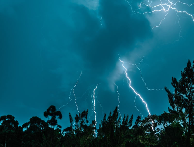 FORÇA DA NATUREZA