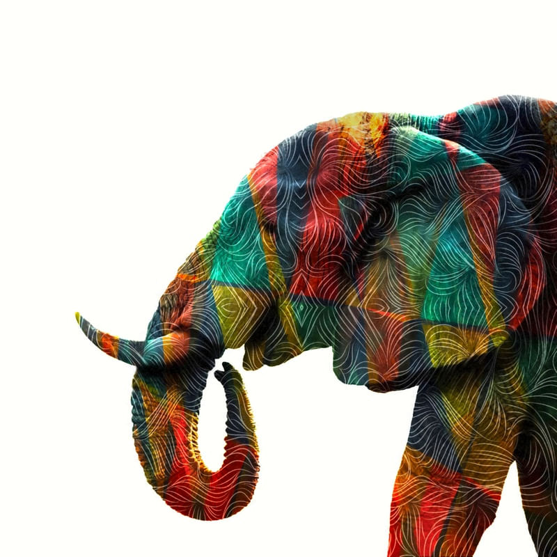 COLORFUL ELEPHANT