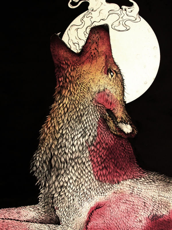 O LOBO E A LUA