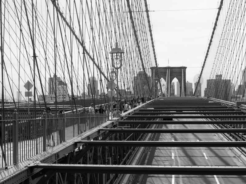 NY AS LINHAS DA PONTE