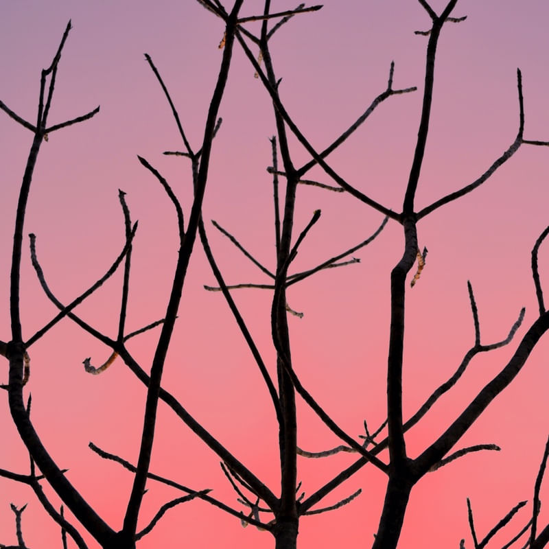 SAMPA WINTER SUNSET II