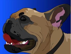 DOGZINHO