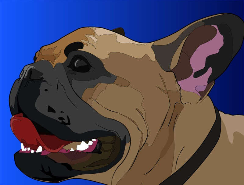 DOGZINHO