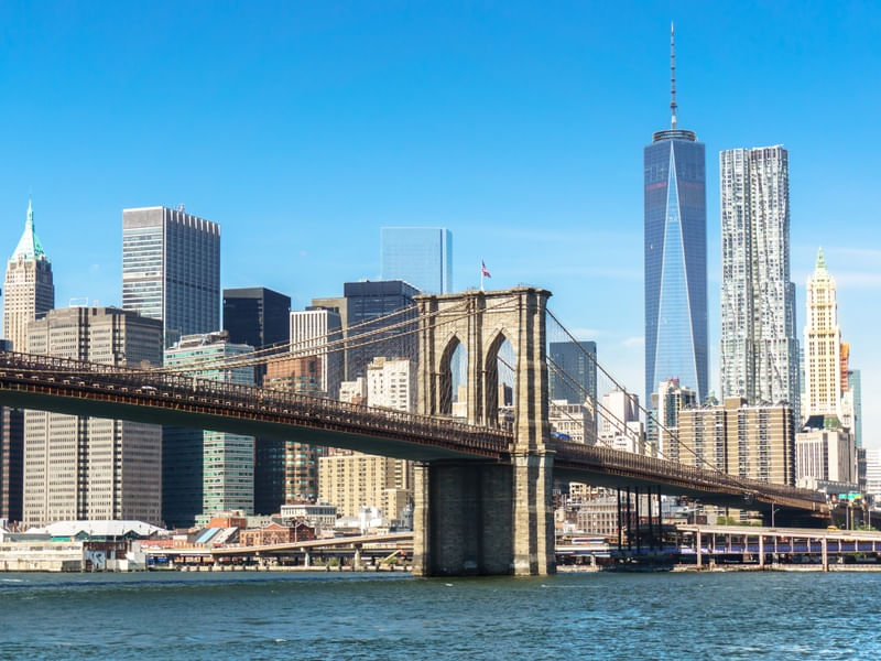NEW YORK BLUE