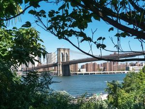 NY THROUGH THE TREES