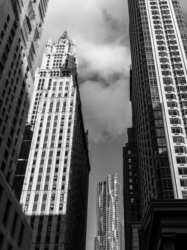 UP TO THE SKY