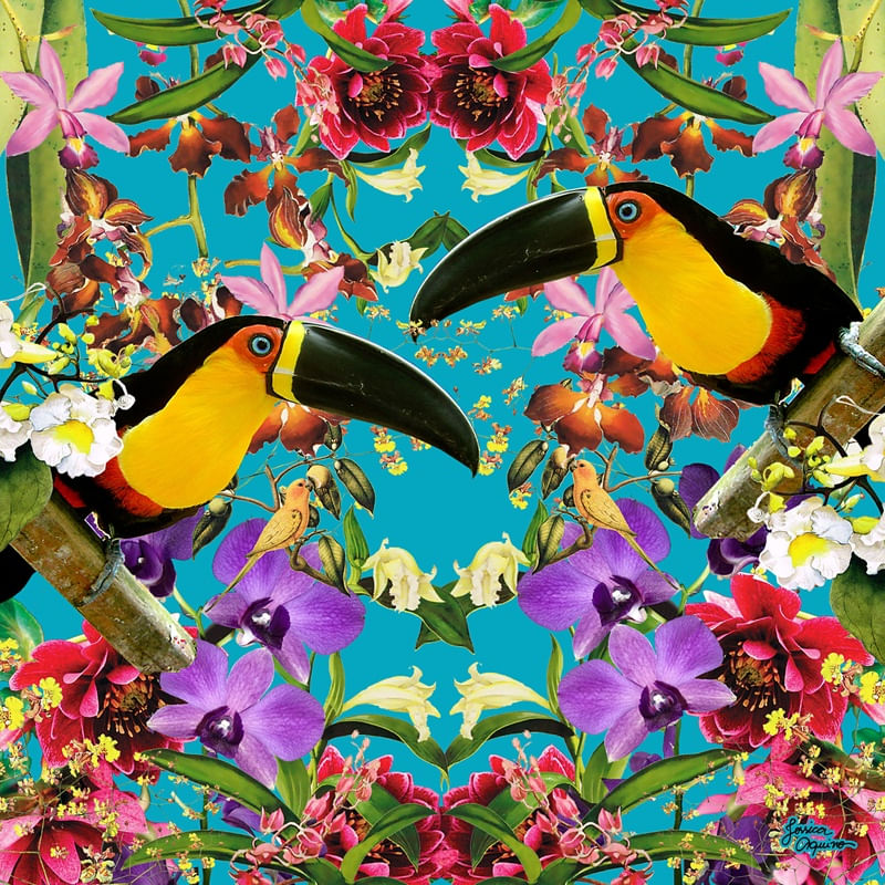 DANÇA DAS ORQUIDEAS