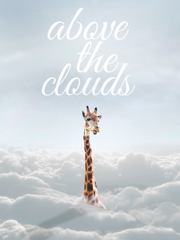 GIRAFA NUVENS CLEAN CÉU AZUL